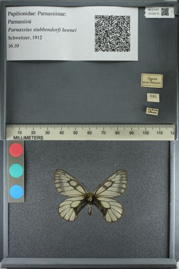 Media type: image;   Entomology 180172